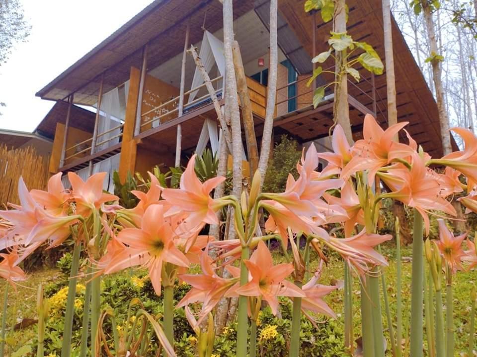 Nan De Panna Resort And Spa Exteriér fotografie